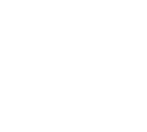 VS 2022-2024 TOLI WALL