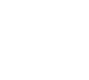 VS 2024-2026 TOLI WALL