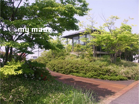 image-middle