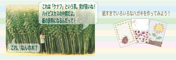 紙すきでいろいろなハガキを作ってみよう!