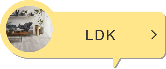 LDK
